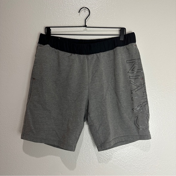 Calvin Klein Shorts Size Large - Picture 1 of 6